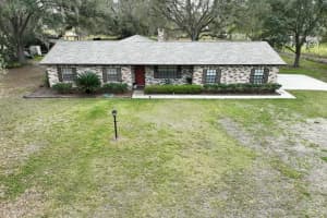 3705 BRUTON, PLANT CITY, FL 33565 - MLS#MFRTB8390140