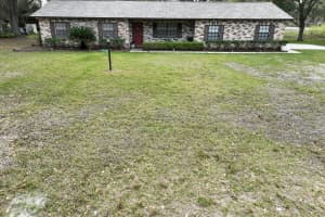 3705 BRUTON, PLANT CITY, FL 33565 - MLS#MFRTB8390140