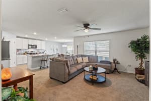 13765 WHISKEY DAISY DRIVE, DADE CITY, FL 33525 - MLS#MFRTB8390155