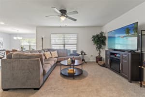 13765 WHISKEY DAISY DRIVE, DADE CITY, FL 33525 - MLS#MFRTB8390155