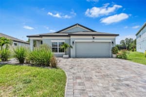 30801 Parrot Reef Ct, WESLEY CHAPEL