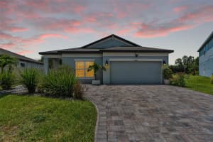 30801 PARROT REEF COURT, WESLEY CHAPEL, FL 33545 - MLS#MFRTB8390172