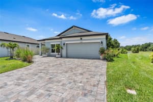 30801 PARROT REEF COURT, WESLEY CHAPEL, FL 33545 - MLS#MFRTB8390172