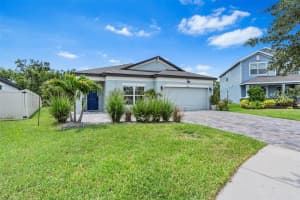 30801 PARROT REEF COURT, WESLEY CHAPEL, FL 33545 - MLS#MFRTB8390172