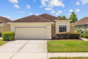 26338 Whirlaway Ter, WESLEY CHAPEL