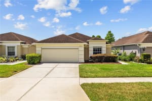 26338 WHIRLAWAY TERRACE, WESLEY CHAPEL, FL 33544 - MLS#MFRTB8390195