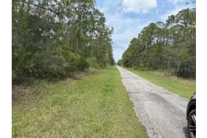 213 PLUMOSA DRIVE, INDIAN LAKE ESTATES, FL 33855 - MLS#MFRTB8390207