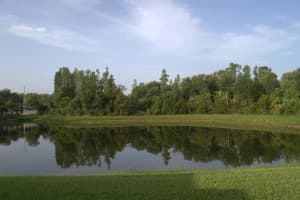 1922 SASSAFRAS DRIVE, WESLEY CHAPEL, FL 33543 - MLS#MFRTB8390216
