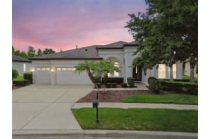 8413 SWISS CHARD CIRCLE, LAND O LAKES, FL 34637 - MLS#MFRTB8390230