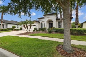 8413 SWISS CHARD CIRCLE, LAND O LAKES, FL 34637 - MLS#MFRTB8390230