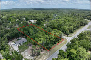 2994 PINE RIDGE AVENUE, HOMOSASSA, FL 34448 Sold 09/02/25