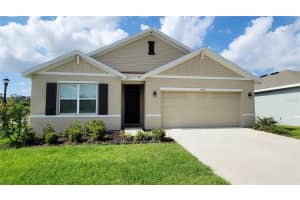 10233 Opaline Sky Ct, RIVERVIEW