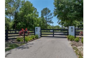 18577 CLAY HILL ROAD, DADE CITY, FL 33523 - MLS#MFRTB8390294