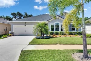 12957 SATIN LILY DRIVE, RIVERVIEW, FL 33579 Sold 07/09/25