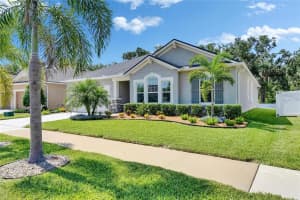 12957 SATIN LILY DRIVE, RIVERVIEW, FL 33579 Sold 07/09/25