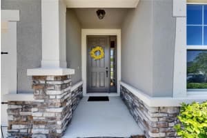 12957 SATIN LILY DRIVE, RIVERVIEW, FL 33579 Sold 07/09/25