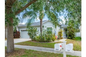 13803 Chalk Hill Pl, RIVERVIEW