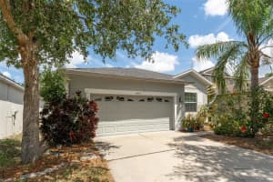 13803 CHALK HILL PL, RIVERVIEW, FL 33579 - MLS#MFRTB8390360