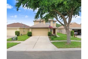 5525 Turtle Crossing Loop, TAMPA