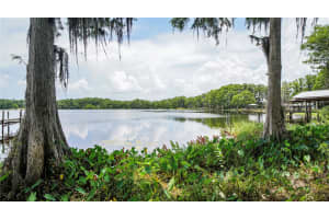 10818 LAND O LAKES BOULEVARD, LAND O LAKES, FL 34638 - MLS#MFRTB8390412