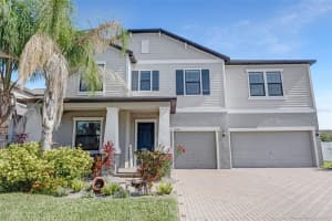 11726 Sunburst Marble Rd, RIVERVIEW
