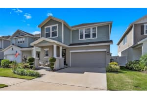 28809 ORANGE BERRY DRIVE, WESLEY CHAPEL, FL 33543 - MLS#MFRTB8390421