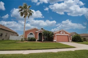 29650 EAGLE STATION DRIVE, WESLEY CHAPEL, FL 33543 - MLS#MFRTB8390430