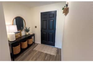 10123 CARP HOLLOW ROAD, SUN CITY CENTER, FL 33573 - MLS#MFRTB8390453