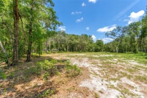 SW 160TH, DUNNELLON, FL 34432 - MLS#MFRTB8390486