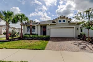2456 Arbor Wind Dr, LUTZ