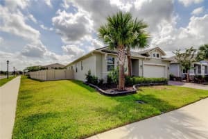 2456 ARBOR WIND DRIVE, LUTZ, FL 33558 - MLS#MFRTB8390495