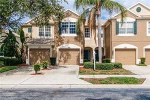8568 Sandy Beach St, TAMPA