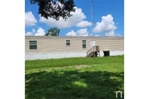 419 CHESTNUT ROAD, LAKELAND, FL 33815 - MLS#MFRTB8390556
