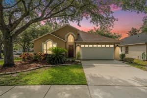 18967 WOOD SAGE DRIVE, TAMPA, FL 33647 Sold 07/31/25