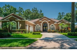 2417 Valrico Forest Dr, VALRICO