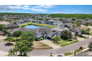 3862 Tristram Loop, LAND O LAKES