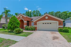 10457 CANARY ISLE DRIVE, TAMPA, FL 33647 - MLS#MFRTB8390658