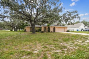 2410 COVINGTON AVENUE, SPRING HILL, FL 34608 - MLS#MFRTB8390666