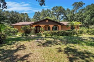 1625 Itchepackesassa Dr, LAKELAND