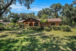 1625 ITCHEPACKESASSA DRIVE, LAKELAND, FL 33810 - MLS#MFRTB8390739