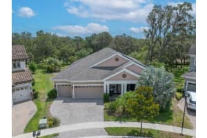 14223 LAMBERT BRIDGE LANE, LITHIA, FL 33547 - MLS#MFRTB8390790