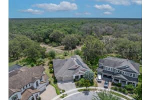 14223 LAMBERT BRIDGE LANE, LITHIA, FL 33547 - MLS#MFRTB8390790