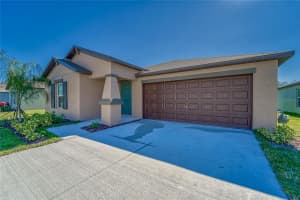 10245 SHADY PRESERVE DRIVE, RIVERVIEW, FL 33578 - MLS#MFRTB8390794