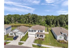 3739 CAPRI COAST DRIVE, PLANT CITY, FL 33565 Sold 07/16/25