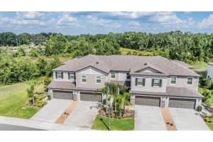 1396 WHITE FOX RUN, LUTZ, FL 33549 Sold 07/22/25