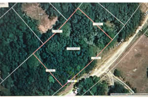 0 FERN STREET, NEW PORT RICHEY, FL 34654 - MLS#MFRTB8390862