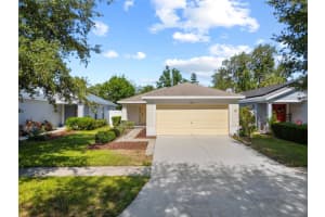 11363 Cocoa Beach Dr, RIVERVIEW