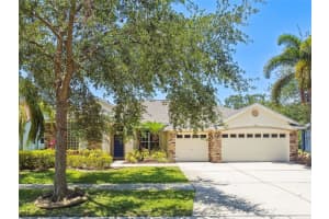 7246 Bucks Ford Dr, RIVERVIEW
