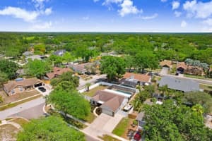 1017 CAMEO CREST LANE, VALRICO, FL 33596 Sold 06/23/25
