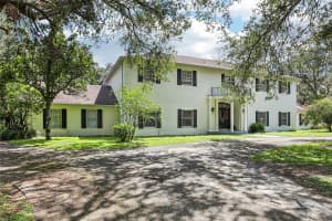 12433 KELSO ROAD, THONOTOSASSA, FL 33592 - MLS#MFRTB8390986